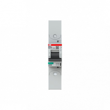 2CCG001296R0001 - 2CCG001296R0001 ABB Int. aut. S801P-D125-R 1p 125A D 50kA