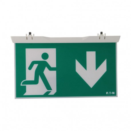 ESP-IDD - ESP-IDD O-ESP-IDD EATON ELECTRIC Veils Pictogram ISO down/down 30m