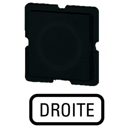 335TQ25 - 335TQ25 092594 EATON ELECTRIC Button plate, black, DROITE