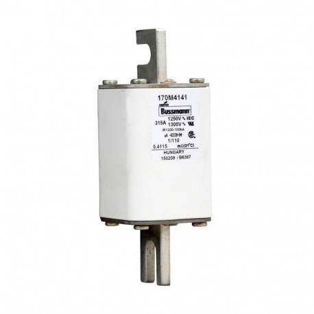 FUSE 315A 1250V 1/110 AR CU - FUSE 315A 1250V 1/110 AR CU 170M4141 EATON ELECTRIC Fuse-link, high speed, 315 A, AC 1250 V, size 1, 53 x 66..