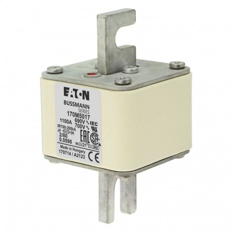 FUSE 1100A 600V 2/80 AR UC - FUSE 1100A 600V 2/80 AR UC 170M5017 EATON ELECTRIC Fuse-link, high speed, 1100 A, AC 600 V, DIN 2, 61 x 61 x..