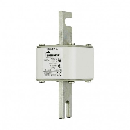 FUSE 1100A 600V 2/110 AR UC - FUSE 1100A 600V 2/110 AR UC 170M5167 EATON ELECTRIC Fuse-link, high speed, 1100 A, AC 600 V, DIN 2, 61 x 61 ..