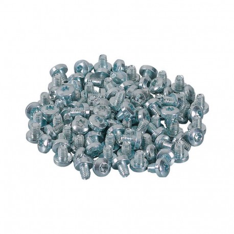 XNNGFS-M5X6 - XNNGFS-M5X6 177620 Y7-177620 EATON ELECTRIC Lens head screw M5x6 TORX25 DIN7500, form C, zinc plated