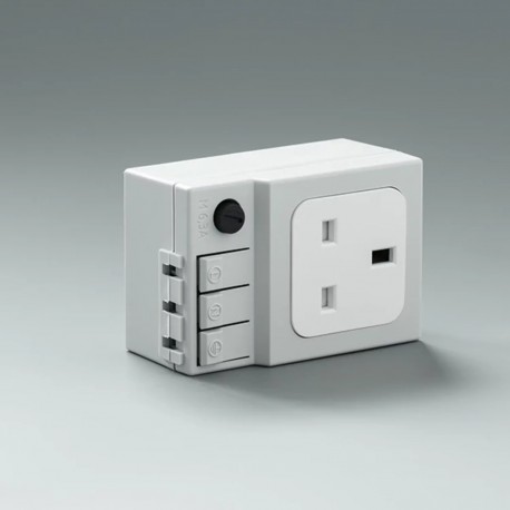 LPS10UK - LPS10UK ELDON Socket with fuse UK LPS10UK