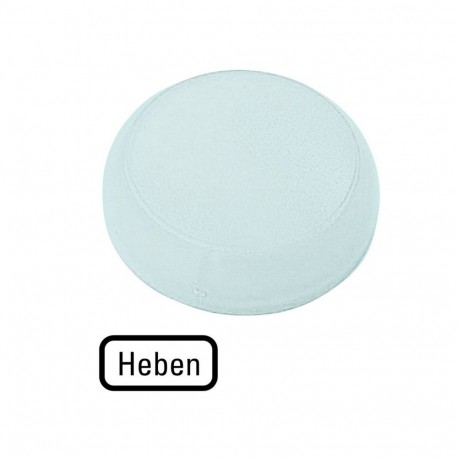 M22-XL-W-D17 - M22-XL-W-D17 218410 Y7-218410 EATON ELECTRIC Lens, indicator light white, flush, raised