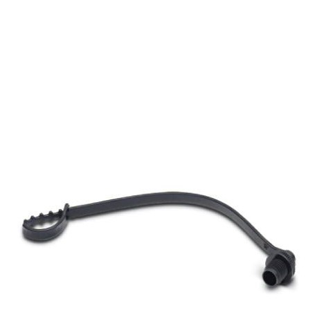 PROT-M 8 MS-PA-CHAIN - PROT-M 8 MS-PA-CHAIN 1430860 PHOENIX CONTACT Screw plug