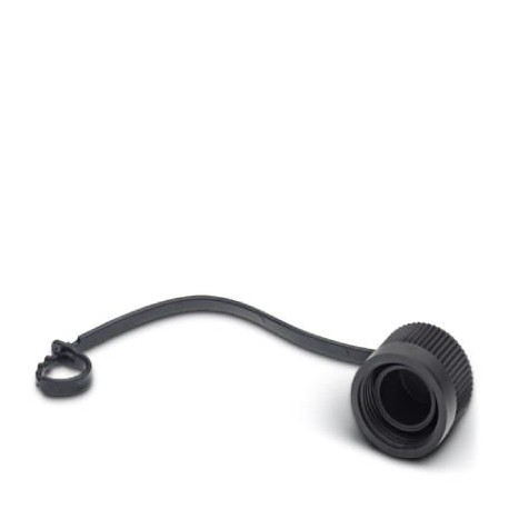 PROT-MINFS-PA-CHAIN - PROT-MINFS-PA-CHAIN 1430912 PHOENIX CONTACT Sealing cap