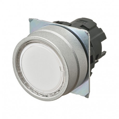 A22NZ-MNM-TWA - A22NZ-MNM-TWA A2270082H 665234 OMRON Pulsa.22mm, Metal, FLUSH, MOMENTARY, Transp.BLANCO, LIGHTING