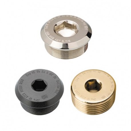 CYE1300Y - CYE1300Y EATON ELECTRIC M25 HOLLOW HEAD PLUG S/S EXD/EXE ATEX IE