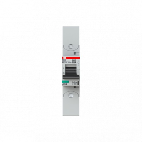 2CCG001265R0001 - 2CCG001265R0001 ABB Int. aut. S801P-K80-R 1p 80A K 50kA
