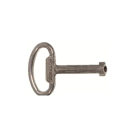 2CPX060661R9999 - 2CPX060661R9999 ABB ZH161 Key 5mm Two-Way