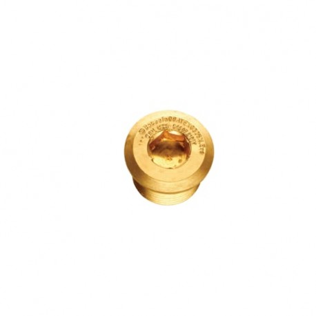 EX/M40/DSP - EX/M40/DSP 7TCA297140R0062 THOMAS AND BETTS M40 DOME STOPPING PLUG BRASS