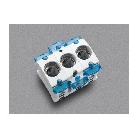 31306 - 31306 WÖHNER Fuse holder D0 mounting panel E 18/3, protected against accidental contact
