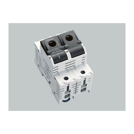 31313 - 31313 WÖHNER Fuse disconnector D0 up to 63A, 2 poles