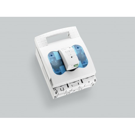 33330 - 33330 WÖHNER NH 250A disconnector, panel mount, screw both sides, disp. fusion electronic, size 1