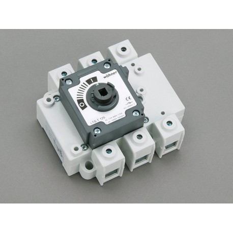 33424 - 33424 WÖHNER CAPUS Panel, 3P load cut switch without lever, 125A, Flange 95 mm2