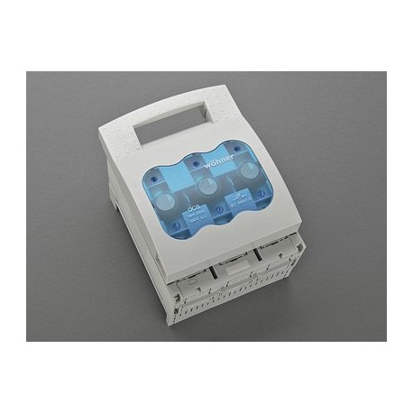 33601 - 33601 WÖHNER Quadron 60Classic, Int-disconnector NH 250A fuses, size 1, 3 poles, Mounting on 60Classic sist ..