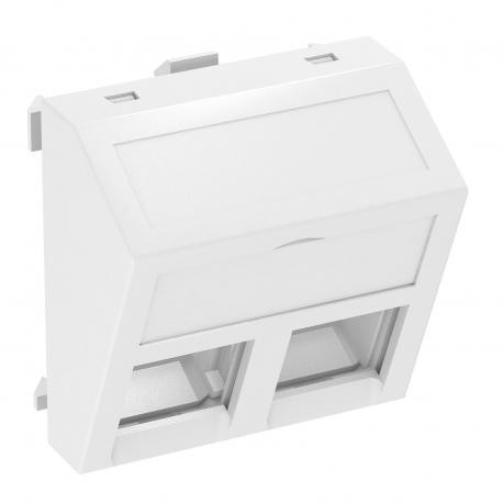 DTS-02C RW1 - DTS-02C RW1 6119286 OBO BETTERMANN Data technology support f. 2 connection modules type C, 45x45mm, Pure whi..