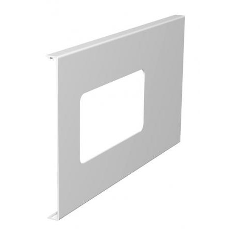 D2-2 170RW - D2-2 170RW 6194133 OBO BETTERMANN Cover for double device installation, 170x300mm, Pure white, 9010, Polyvin..