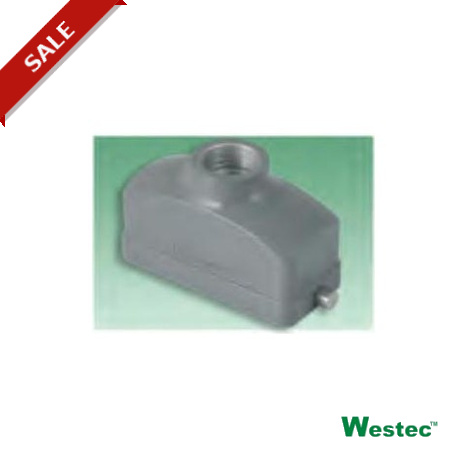 7806.6553.0 - 7806.6553.0 WESTEC COVER WESTEC "GWconnect" S / VERTICAL PIVOT M20 2 "44.27"