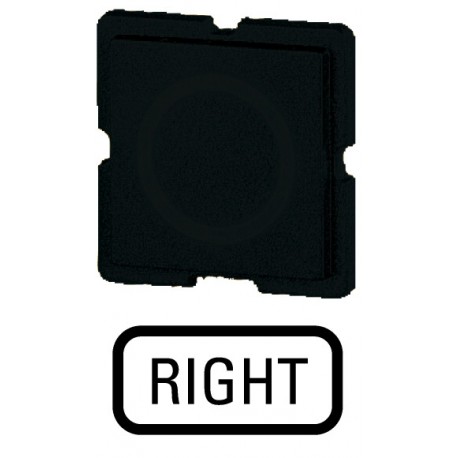 235TQ25 - 235TQ25 091009 EATON ELECTRIC Button plate, black, RIGHT