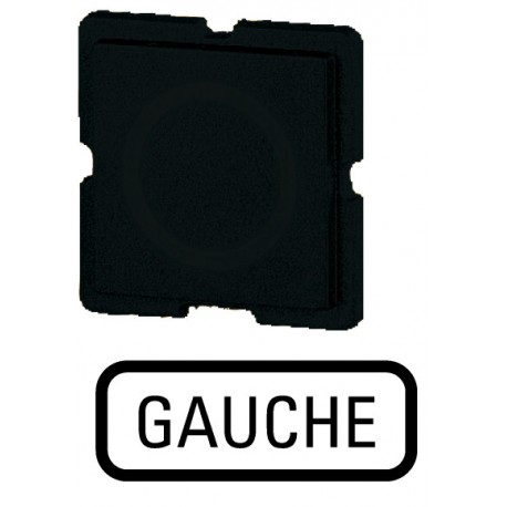 334TQ25 - 334TQ25 092567 EATON ELECTRIC Button plate, black, GAUCHE
