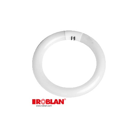 TF22865 - TF22865 ROBLAN Tube Fluorescent Circle 22W 865