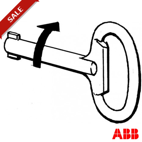 JSM D16 - JSM D16 2TLA040033R4400 ABB JSM D16 Key for JSM D15 Cam lock