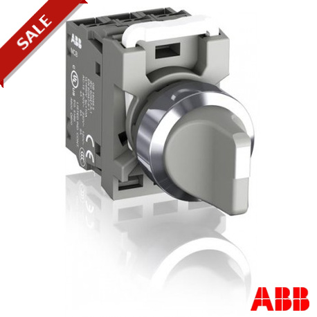 C2SS2-30U-10 - C2SS2-30U-10 1SFA619201R3017 ABB SELECTOR SWITCH C2SS2-30U-10