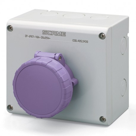 505.M2620 - 505.M2620 SCAME INTERLOCKED SOCKET 2P IP67 32A 20-25V AC