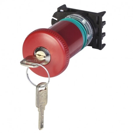 590.PPFN1C4N - 590.PPFN1C4N SCAME MUSHROOM RELEASE BY KEY D.40