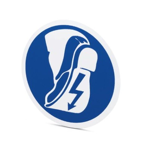 PML-M111 (D100) - PML-M111 (D100) 1014168 PHOENIX CONTACT Mandatory sign