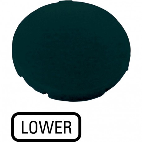 M22-XD-S-GB18 - M22-XD-S-GB18 218209 Y7-218209 EATON ELECTRIC M22-XD-S-GB18Q Button plate, flat black, LOWER