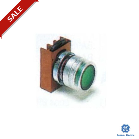 P9MPLIGD - P9MPLIGD 184498 GENERAL ELECTRIC Illuminated push-buttons, Standard/momentary, Flush Cap, Diffused lens, Cle..