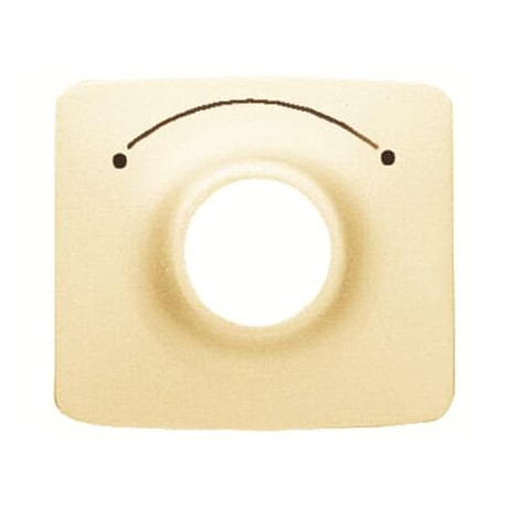 2CLA825300A1001 - 2CLA825300A1001 8253 BM NIESSEN 8253 BM Coverkey switch 2 position