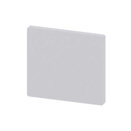 3SU1900-0AY61-0AA0 - 3SU1900-0AY61-0AA0 SIEMENS Unit labeling plate, white, without inscription, for support of dust resistance, ..