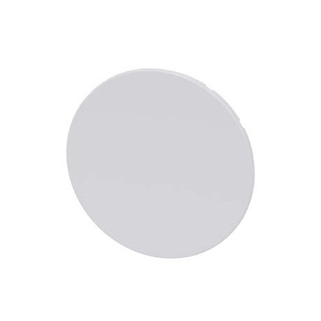 3SU1900-0FT60-0AA0 - 3SU1900-0FT60-0AA0 SIEMENS pushbutton, flat, white, for pushbutton