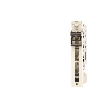 3NJ6916-7AA00 - 3NJ6916-7AA00 SIEMENS accessory for Plug-in load isolating switches 3NJ6 Cabinet plug-in unit overall height..
