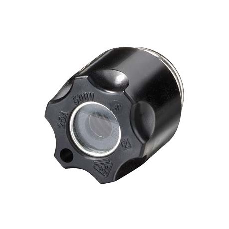 5SH1231 - 5SH1231 SIEMENS DIAZED screw cap DIII 63 A 500 V AC/DC insulating material with inspection hole