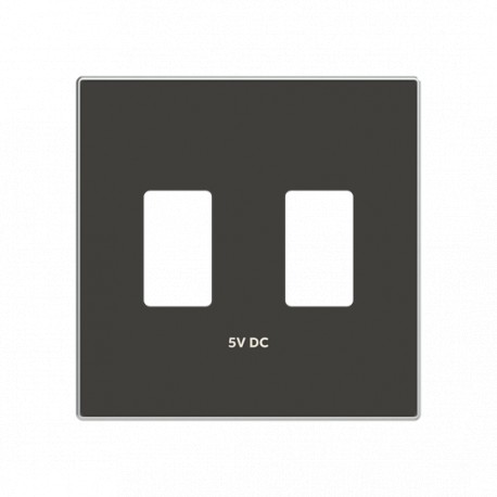 2CLA858530A1501 - 2CLA858530A1501 8585.3 NS NIESSEN Cap USB charger double NS