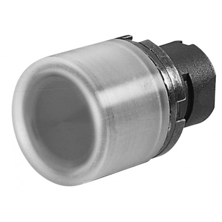 PTCGLI - PTCGLI TERASAKI Button lum. prot.c/ cap rubber metal. transp.