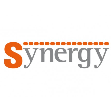 SYN1SLX - SYN1SLX LOVATO SYNERGY LICENCE FOR THIRD PARTY DEVICES. PERMANENT LICENCE FOR SINGLE DEVICE