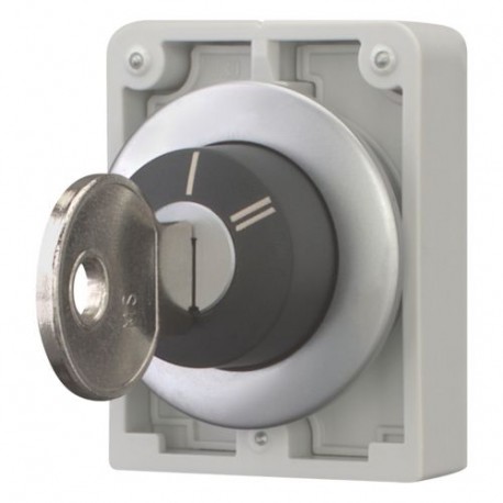 M30C-FWRS-X95 - M30C-FWRS-X95 187067 Y7-187067 EATON ELECTRIC Key-operated actuators, Flat Front, not suitable for master ke..