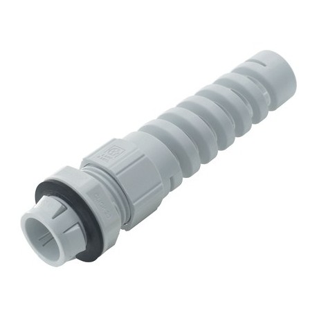 53112889 - 53112889 SKINTOP CLICK BS 20 RAL 7035 LGY LAPP SKINTOP CLICK BS 20 RAL 7035 LGY