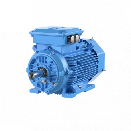 M3GP 180 MLB - M3GP 180 MLB 3GGP182420-ADL ABB Cast iron motor for Explosive Atmospheres 22kW 400/690V, IE3, 4P, mounting B..