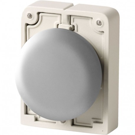 M30I-FB - M30I-FB 188107 Y7-188107 EATON ELECTRIC Blanking plug, flat front