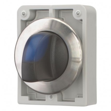 M30I-FWLK3-B - M30I-FWLK3-B 188192 Y7-188192 EATON ELECTRIC Illuminated option keys, flat front, with T-handle, blue, 3 pos..