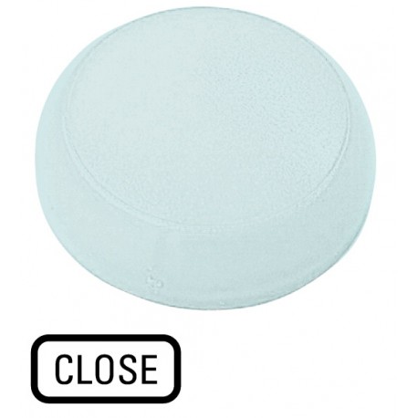 M22-XL-W-GB2 - M22-XL-W-GB2 218416 M22-XL-W-GB2Q EATON ELECTRIC Lens, indicator light white, flush, CLOSE